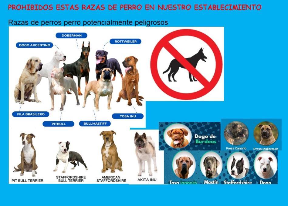 וילאביצ'יוסה La Villa De Maria I Playa Beach El Puntal Asturias מראה חיצוני תמונה
